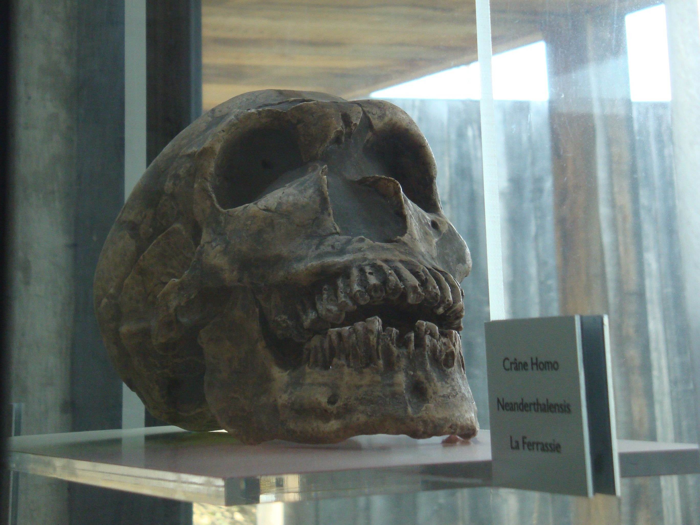 Grotte de Pair-non-Pair, Prignac-et-Marcamps - photo 5