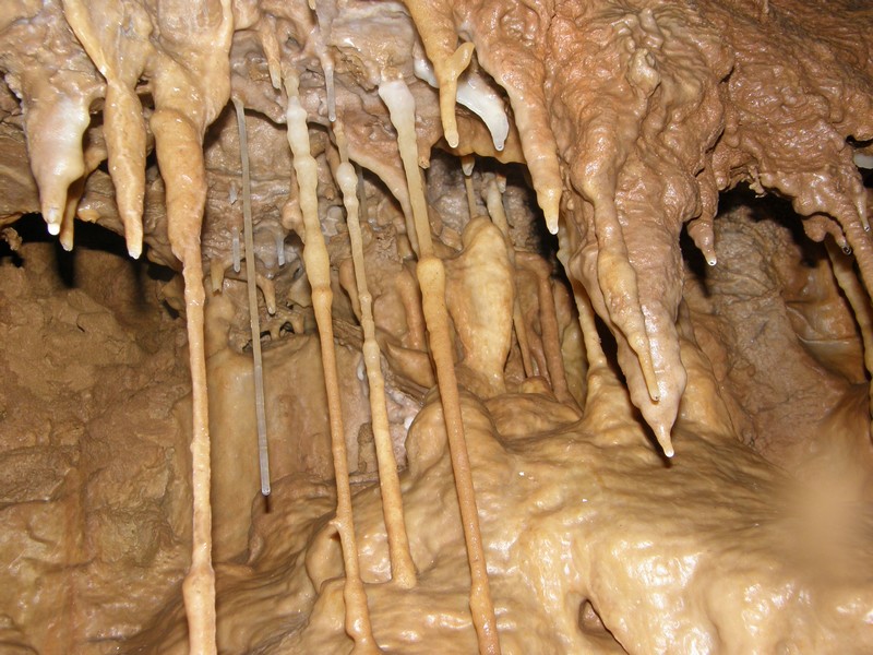 Grotte de Beaussac, Mareuil en Périgord - photo 3