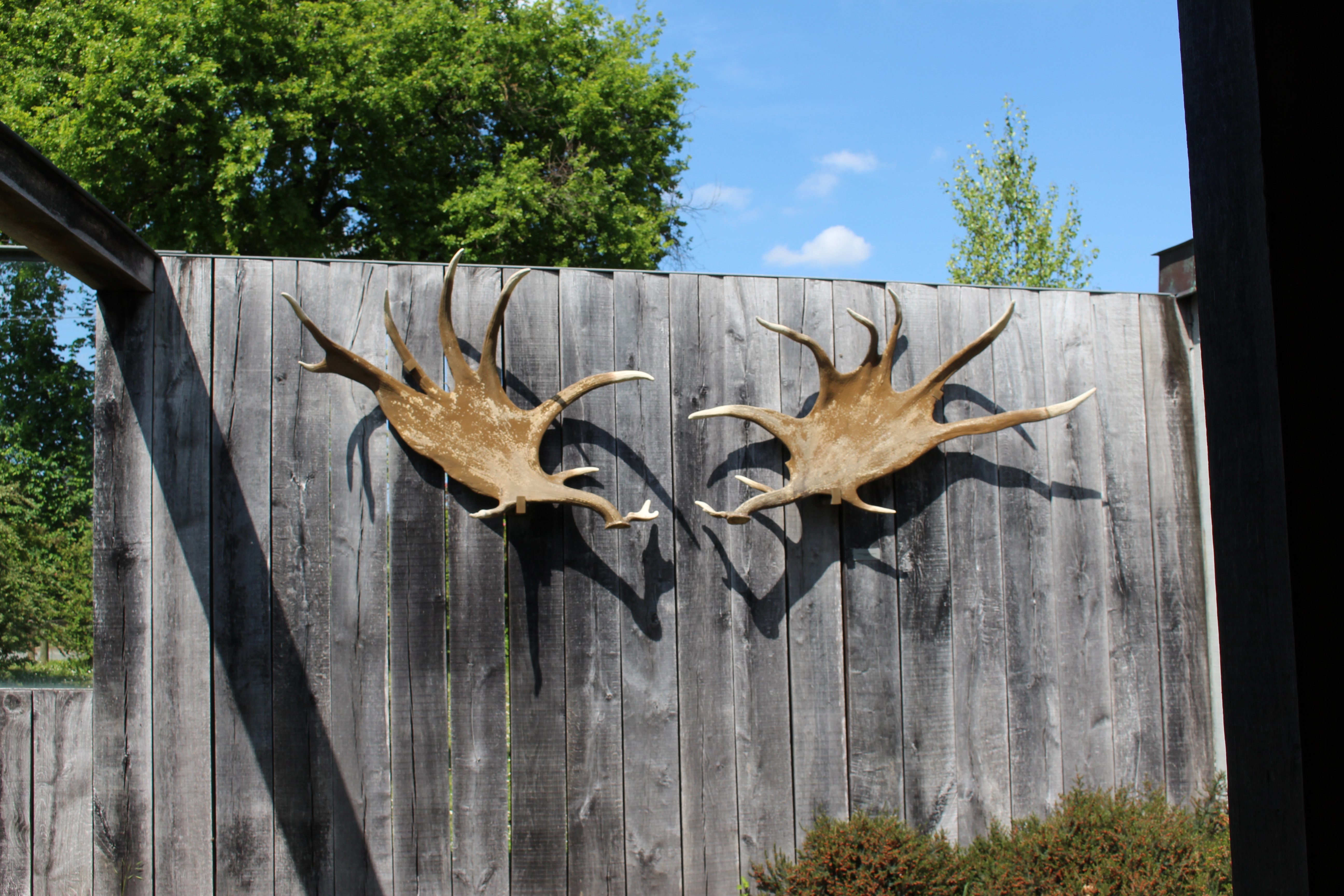 Grotte de Pair-non-Pair, Prignac-et-Marcamps - photo 3