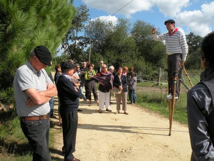 Les jeudis Gascons à la Ganadéria de Buros, Escalans - photo 8