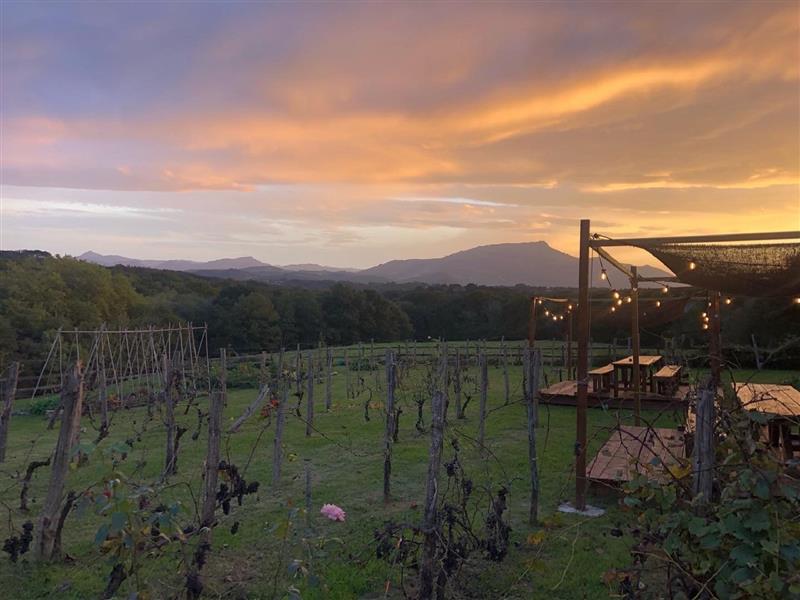 Guide Indépendant : Maya Gilles