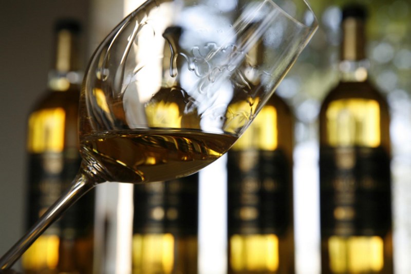 Petite boucle au coeur du vignoble de Sauternes - photo 2