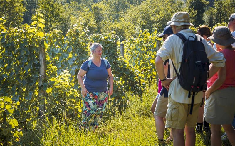 Visite guidée sur sentier pédagique au domaine Gutizia