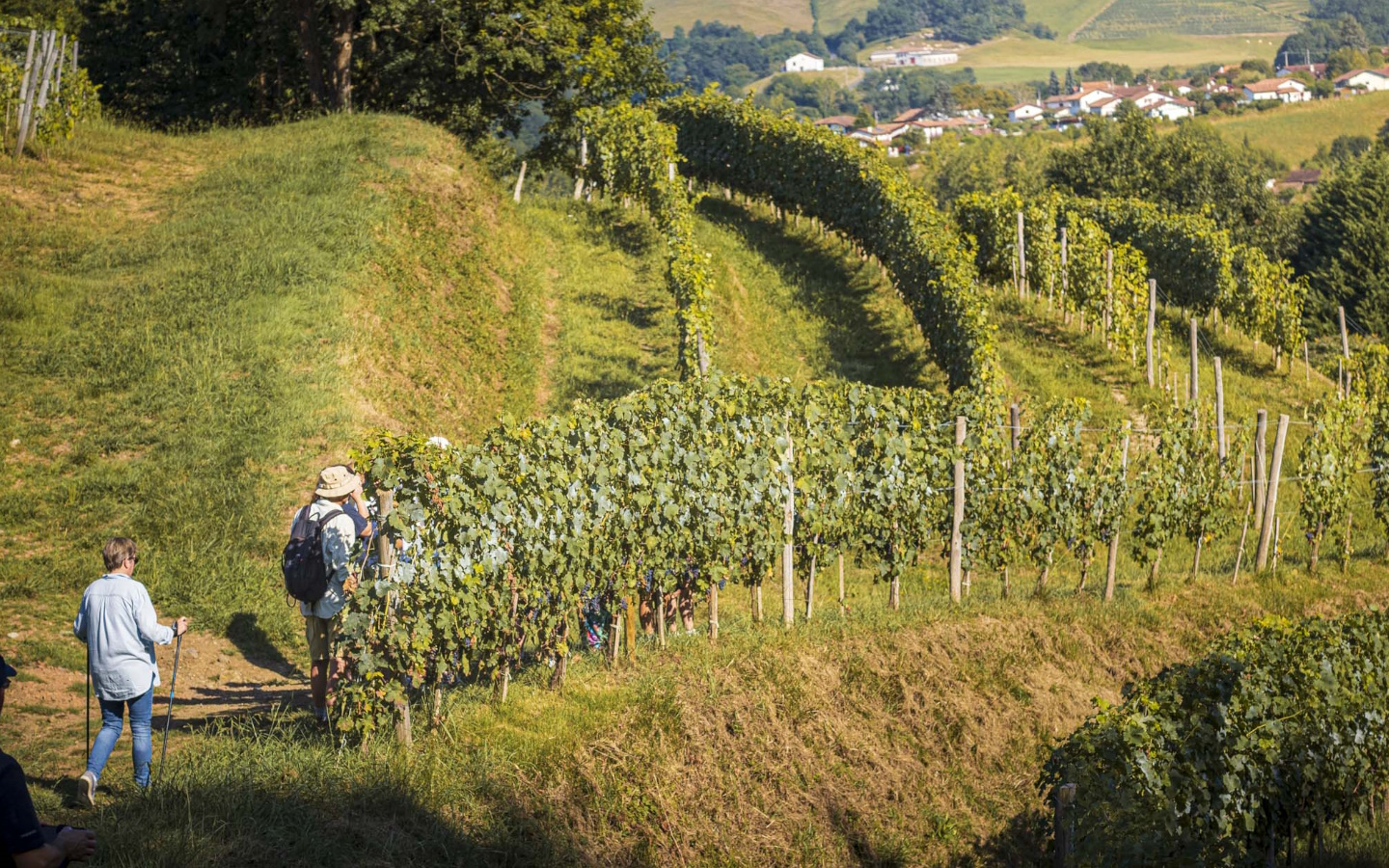 Visite guidée sur sentier pédagogique au domaine Gutizia - photo 3
