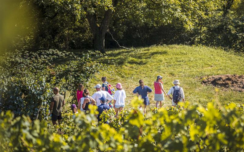 Visite guidée sur sentier pédagique au domaine Gutizia