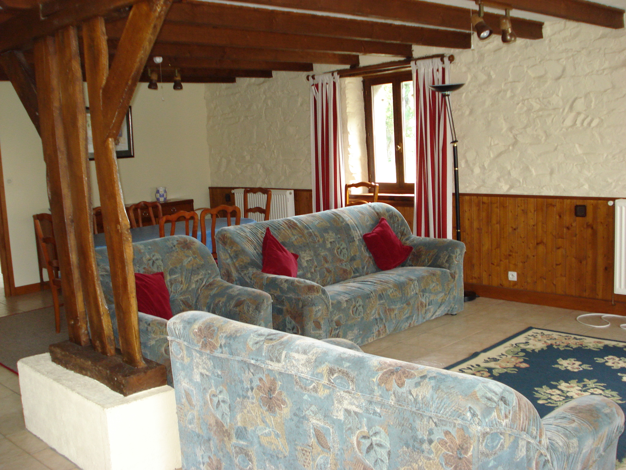 Hirondelle - photo 2