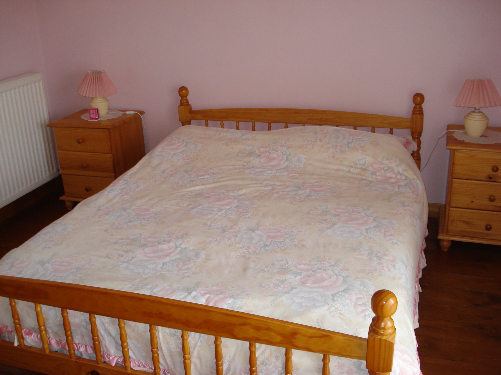 Hirondelle, Peyrat-de-Bellac - photo 6