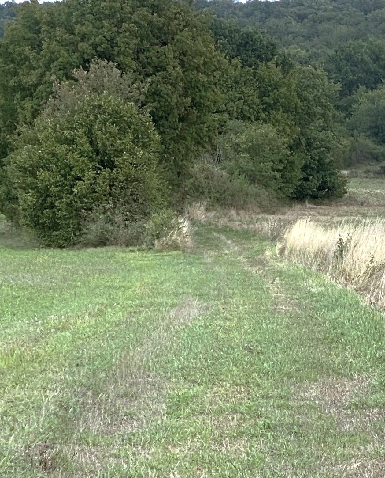 Boucle du Clos Neuf, Hautefaye - photo 3