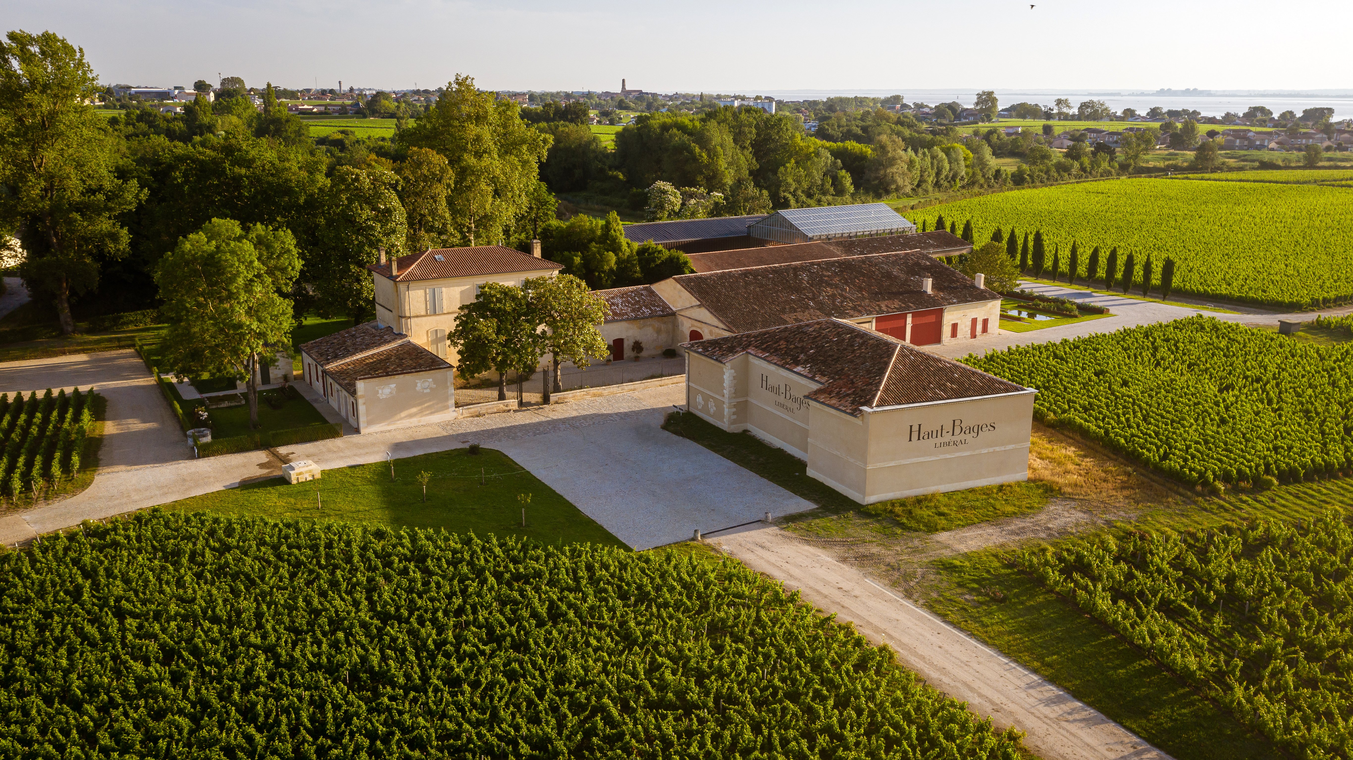 Château Haut-Bages Libéral - photo 4