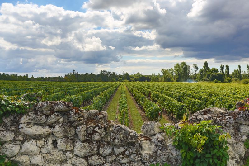 Château Haut Coteau