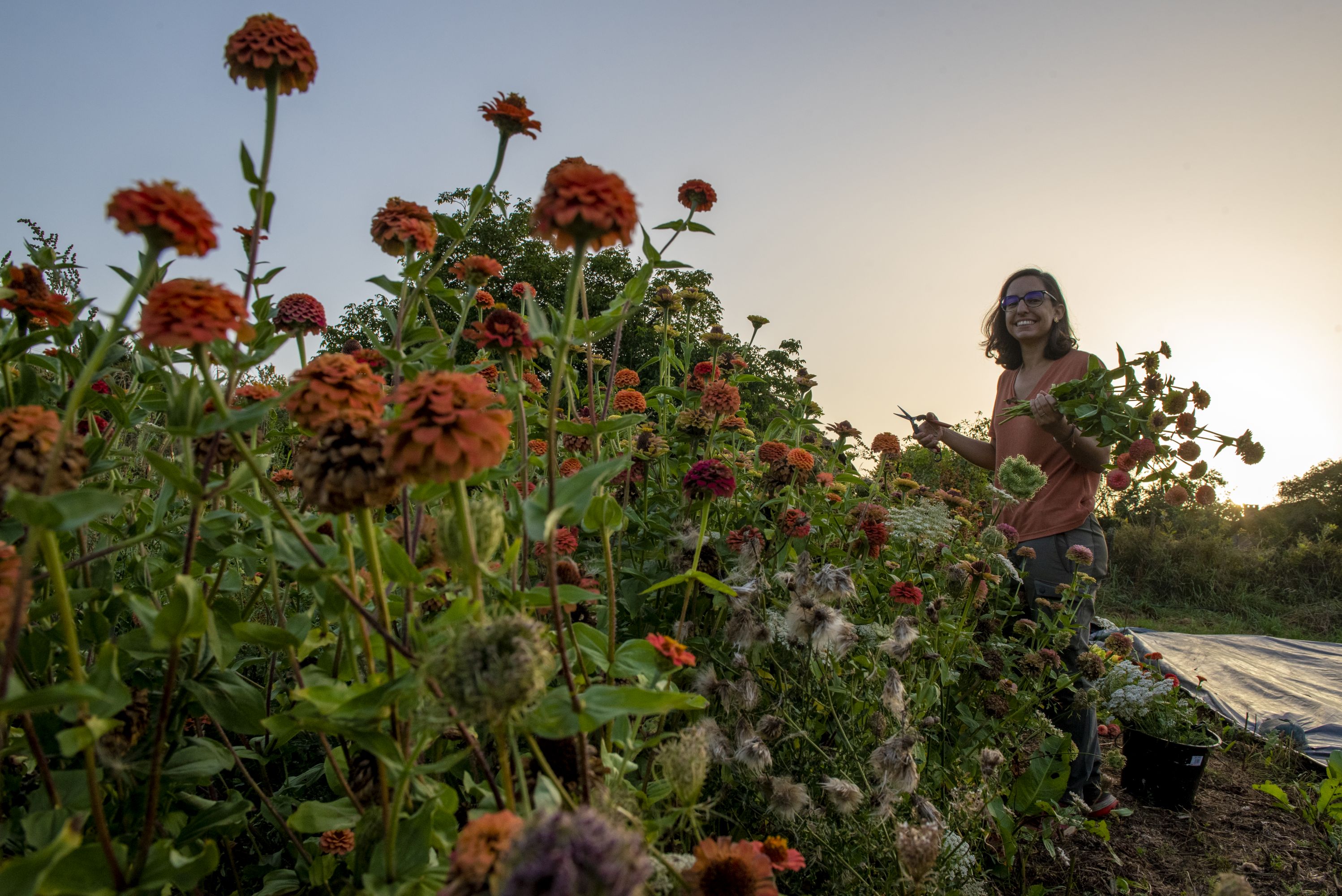Ferme agroecologique"Courgette et Poulette" - photo 4