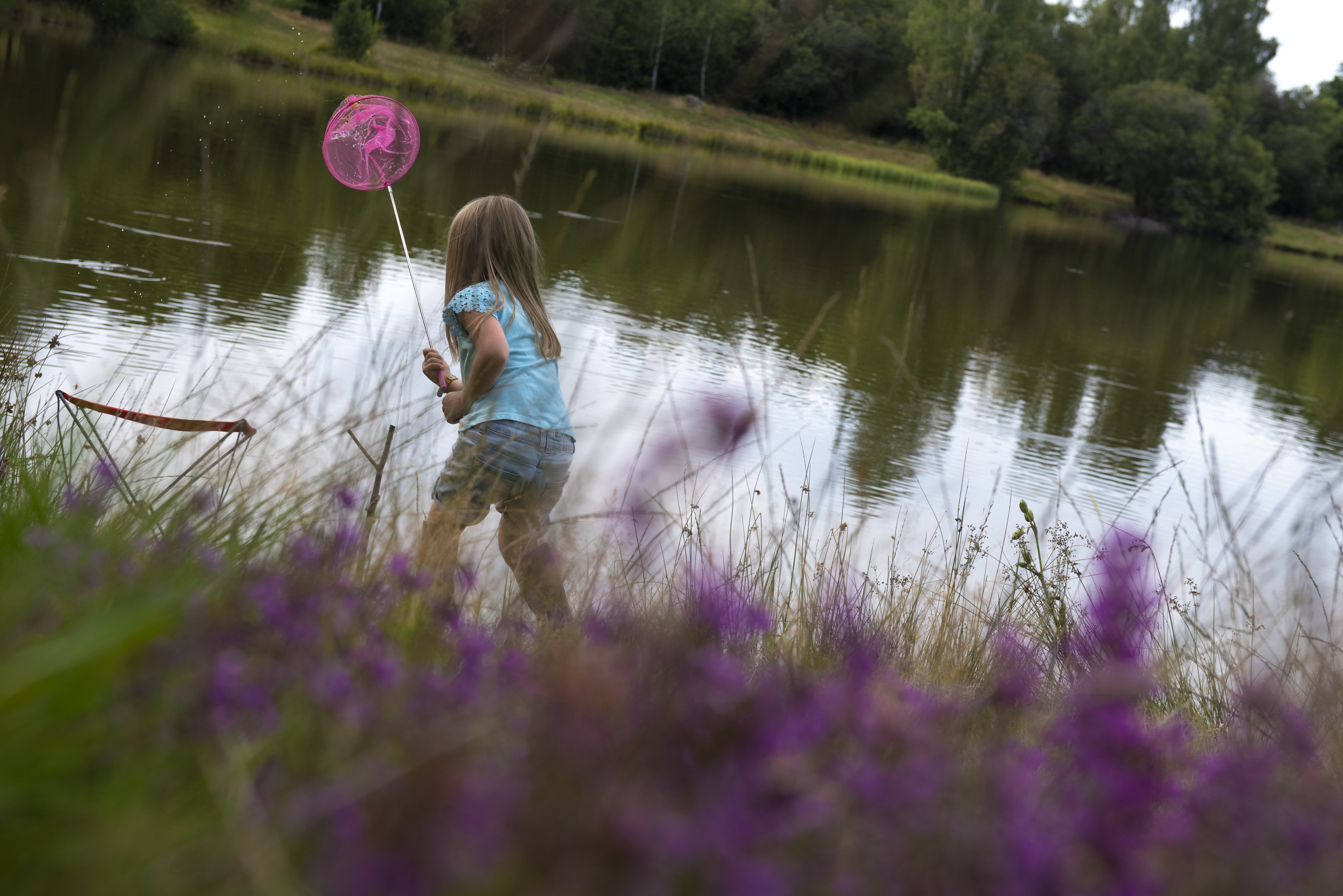 Landes serpentinicoles des Pierre du Mas, La Porcherie - photo 4