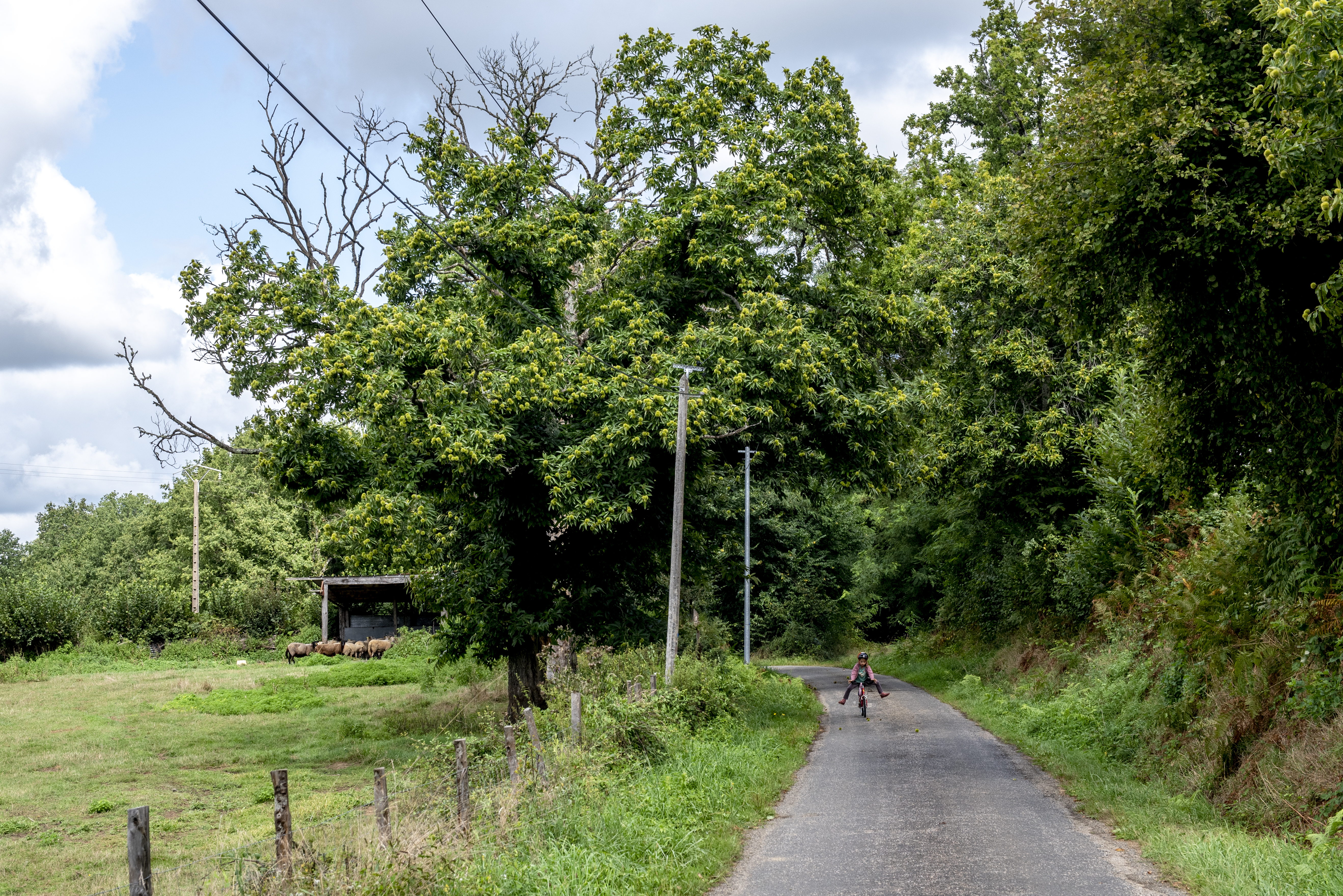 Balade contée en occitan — visuel événement