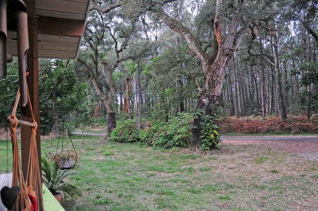 Nature et Bien Etre Chambres d'Hôtes