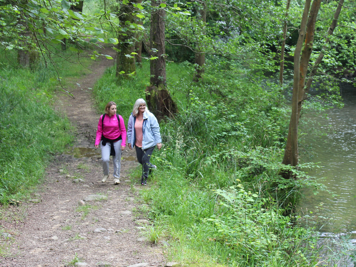 Higuères-Souye : entre Luy et Souye - photo 3