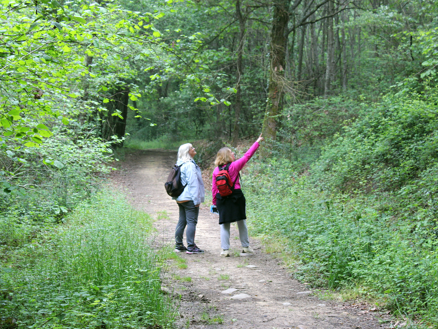 Higuères-Souye : entre Luy et Souye