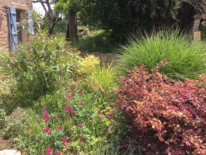 Vue Splendide sur la Vallée