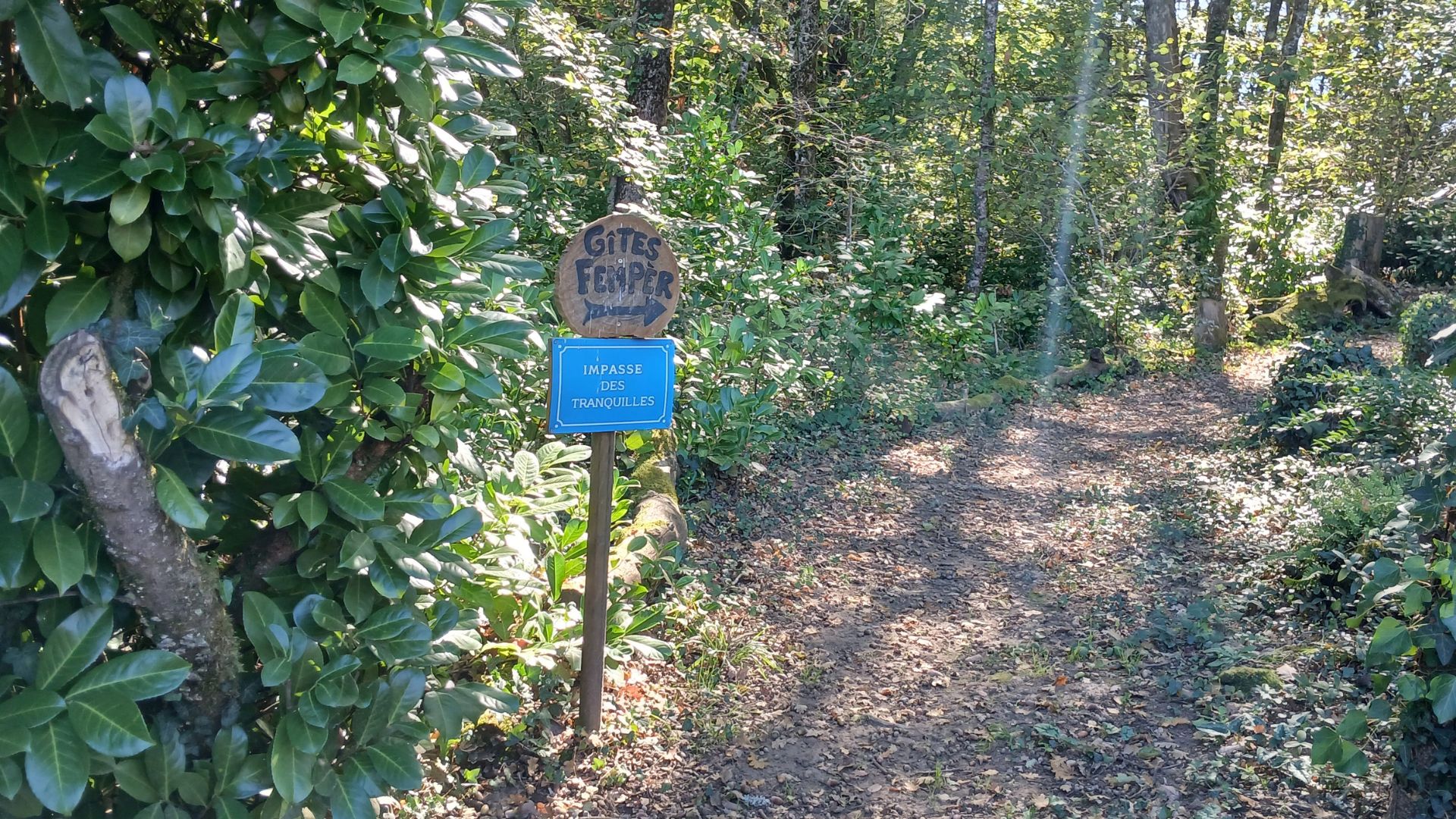 Gîte Fem, Paunat - photo 2