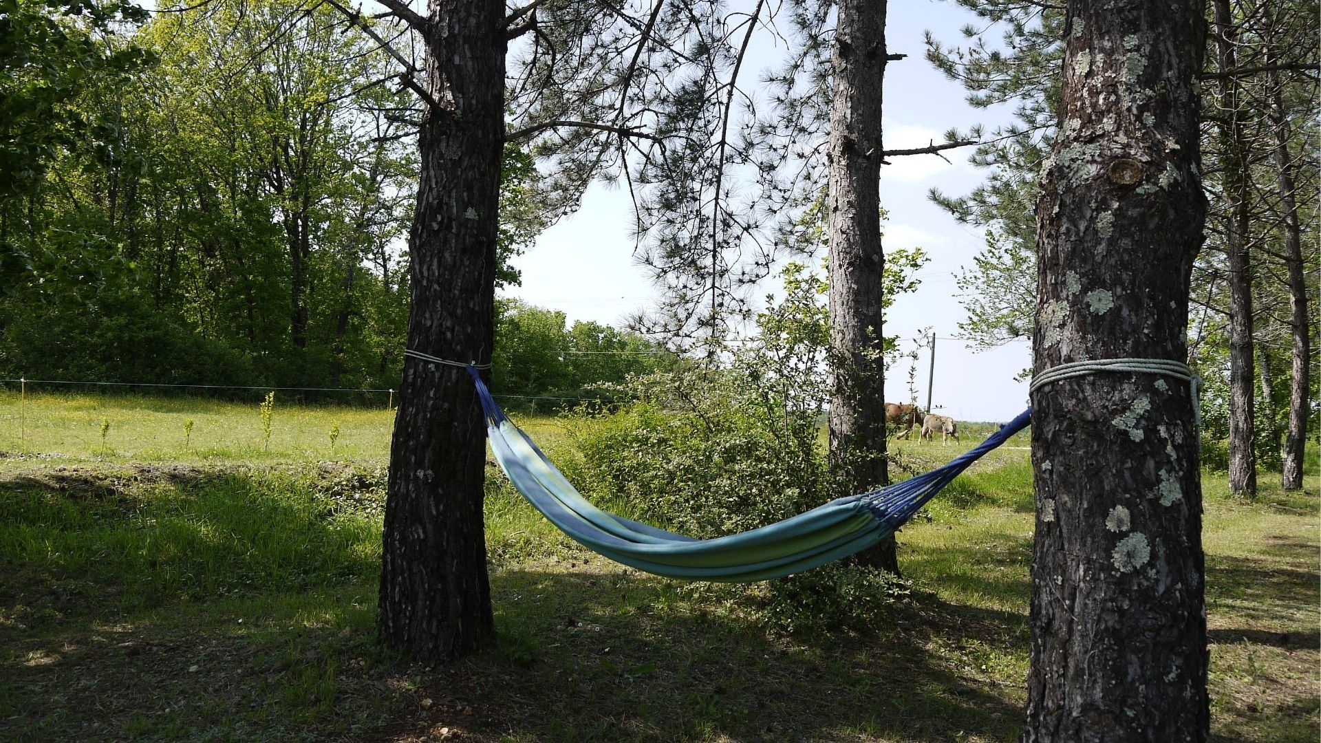 Gîte Lamaurénie, Val de Louyre et Caudeau - photo 5
