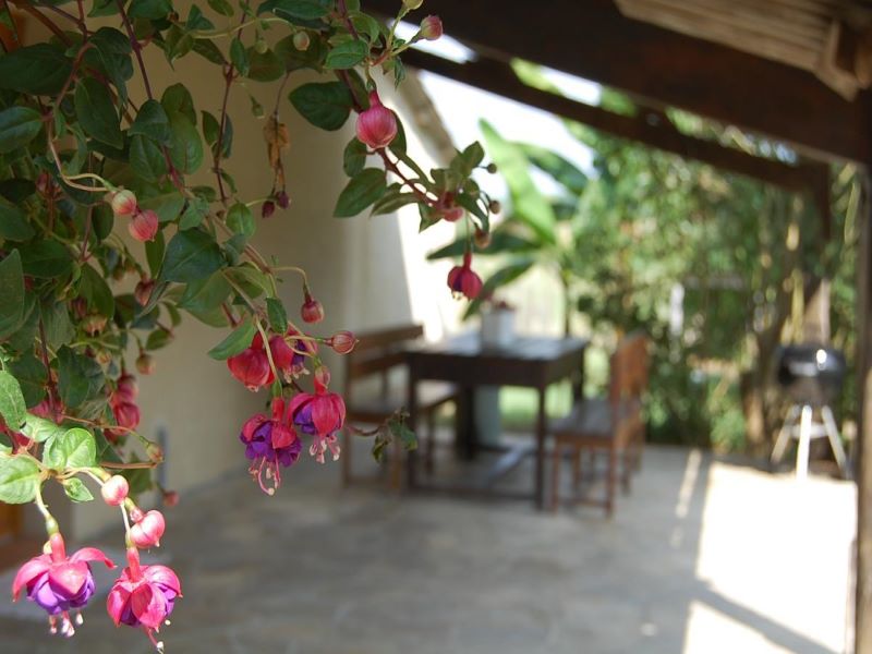 La plaine de Fresquet, Monclar - photo 12