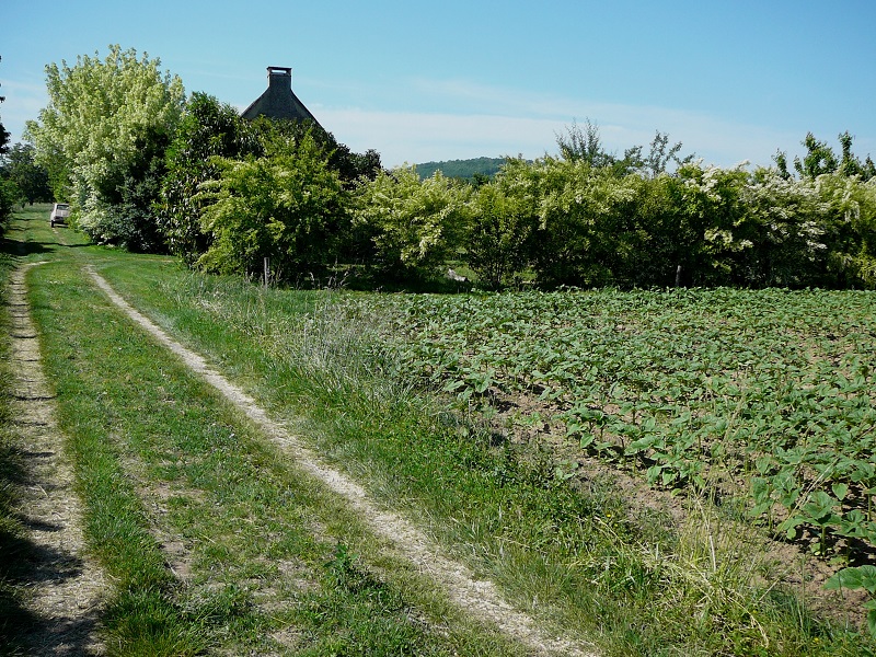 Le Mouscard, Saint-Chamassy - photo 2