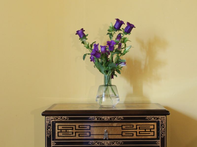 Maison d'hôtes MaDamenFrance, Monclar - photo 13