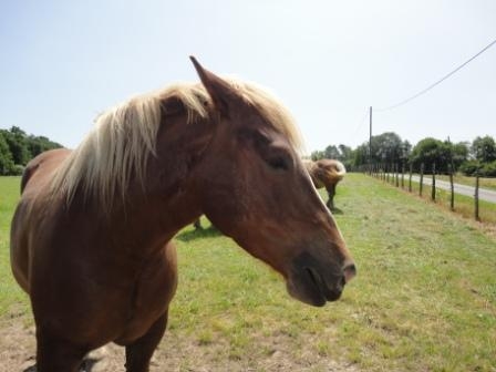Maison BENESSE - photo 3