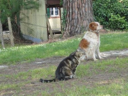 Maison BENESSE - photo 4