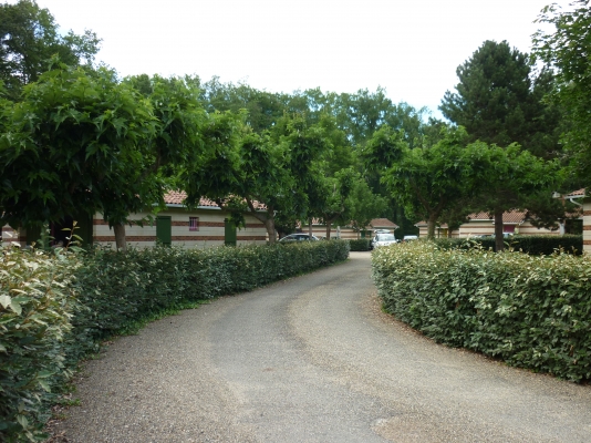 Parc touristique de la chêneraie "le Genêt", Gabarret - photo 8