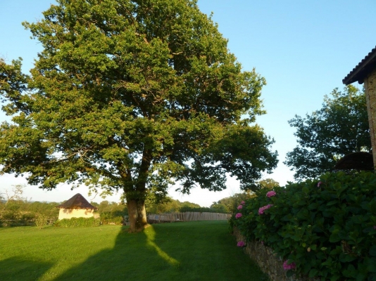 La Maison du Bos, Miramont-Sensacq - photo 3