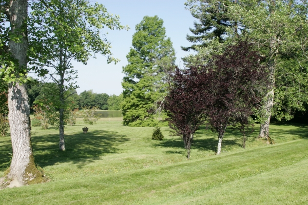 Gîte Château de Bétan, Beylongue - photo 13