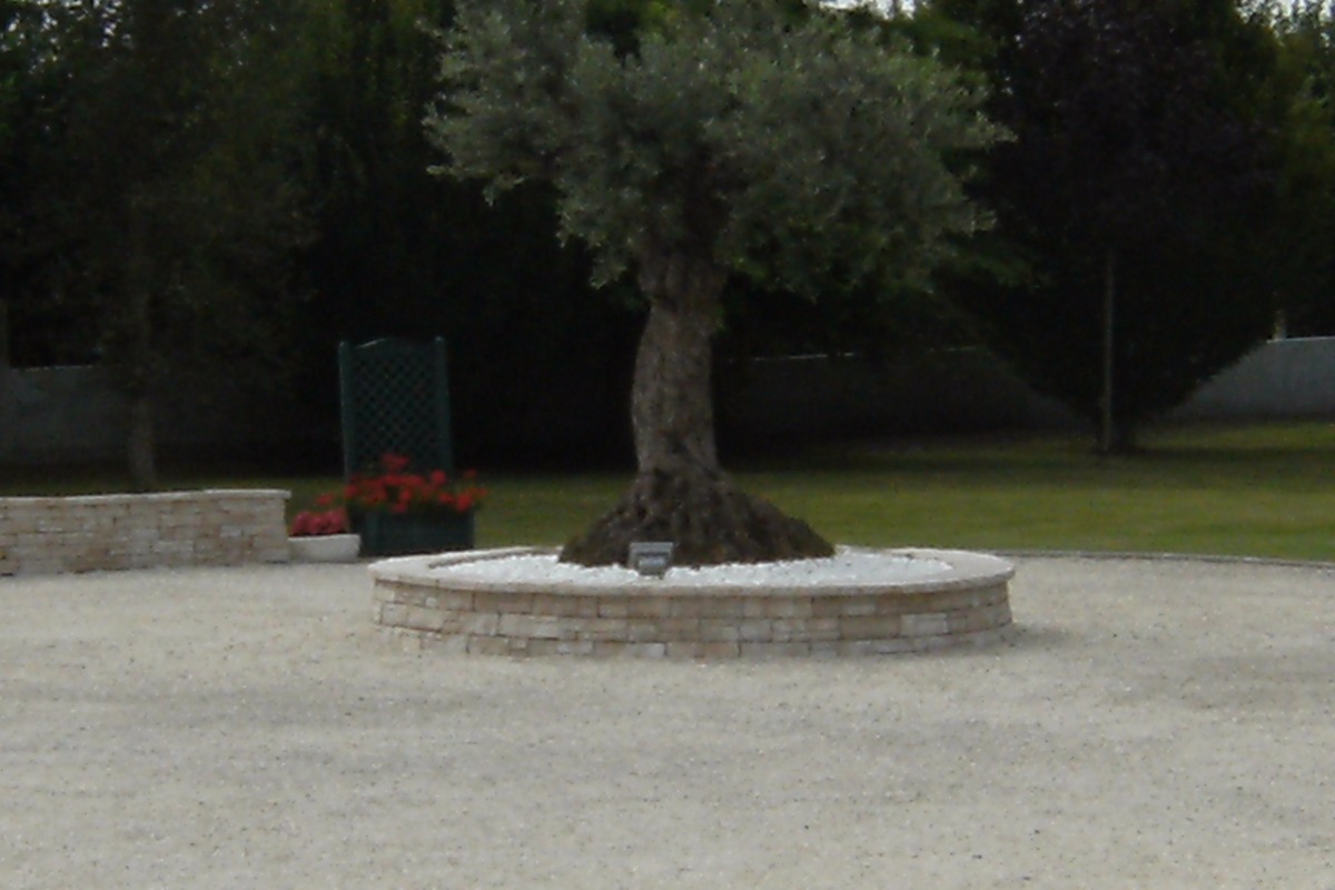 Appartement T2 (44 m2 ) proche de Dax et Saint Paul les Dax dans les Landes, Saint-Vincent-de-Paul