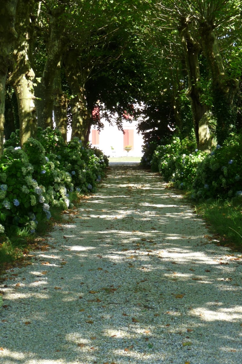 Domaine de Montfleury, Peyrehorade - photo 10