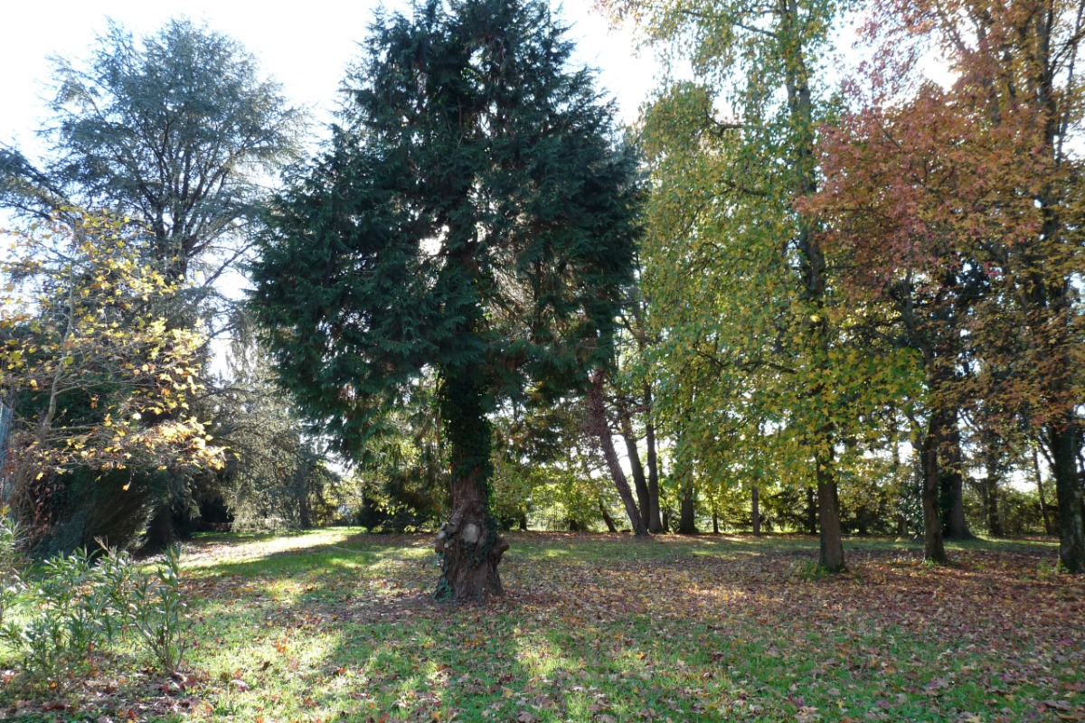 Domaine de Montfleury, Peyrehorade - photo 5