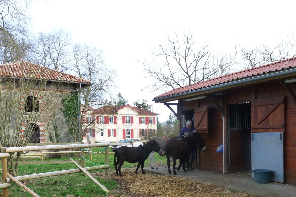 Domaine de Montfleury, Peyrehorade - photo 14