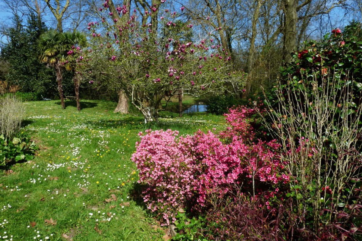 Domaine de Montfleury, Peyrehorade - photo 9