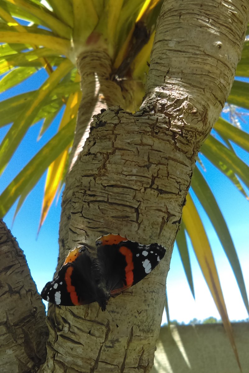 Villa  LUGI, Biaudos - photo 20