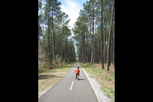 Gîte de charme landais,typique, esprit cabane résinier, Vielle-Saint-Girons - photo 8