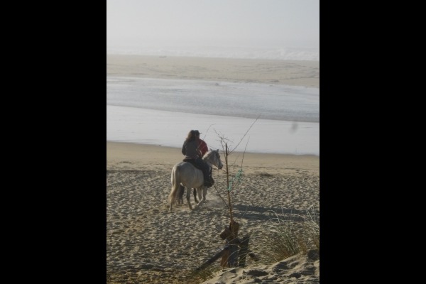 Gîte de charme landais,typique, esprit cabane résinier, Vielle-Saint-Girons - photo 3
