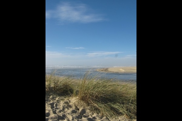 Gîte de charme landais,typique, esprit cabane résinier, Vielle-Saint-Girons - photo 12