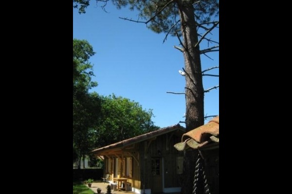 Gîte de charme landais,typique, esprit cabane résinier, Vielle-Saint-Girons - photo 9