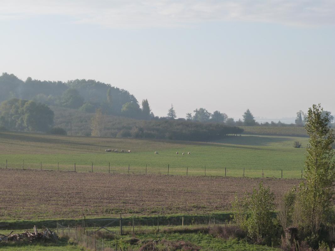 Gîte Les Riquets, Baleyssagues - photo 7