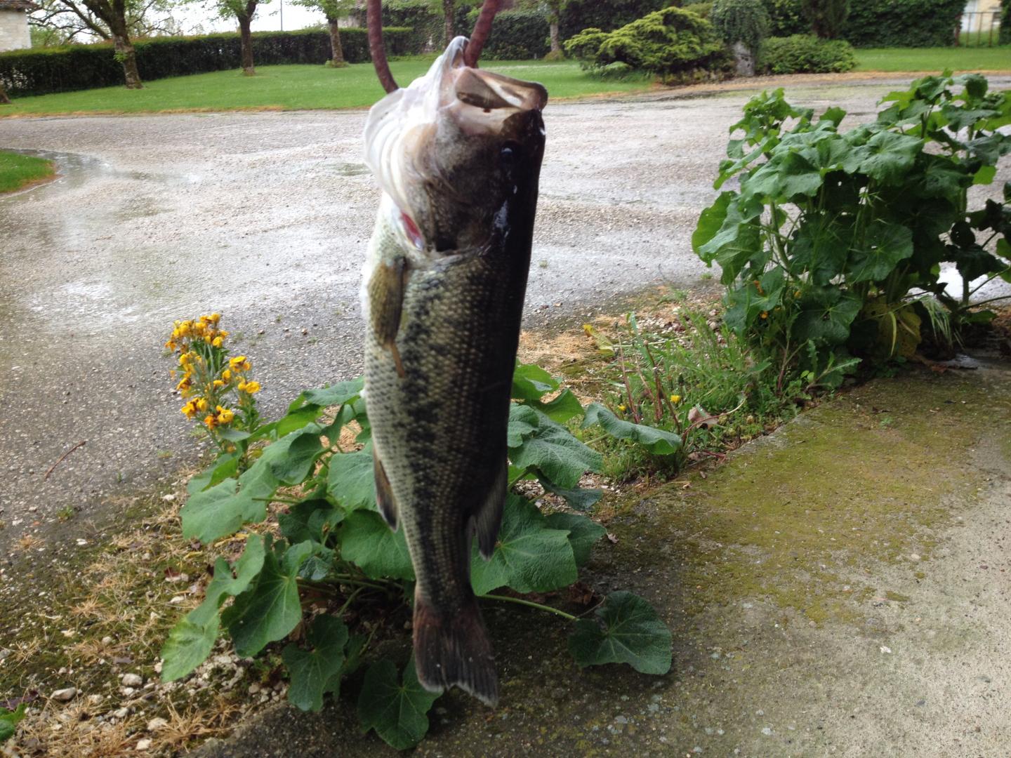 Gîte des frenes, Cavarc - photo 19