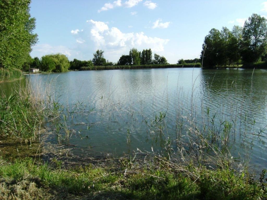 Gîte du gros chêne, Cavarc - photo 16