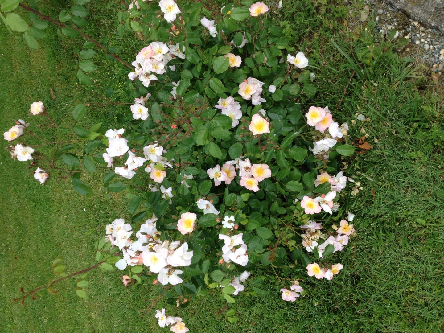 Gîte du gros chêne, Cavarc - photo 21