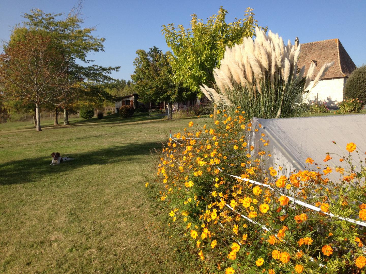 Gîte du gros chêne, Cavarc - photo 5