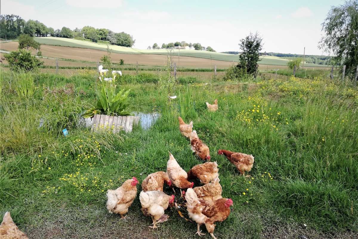 La plaine de Fresquet, Monclar - photo 2