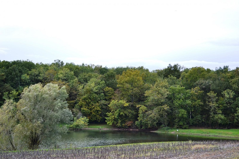 Gîte de Toupinerie Bas