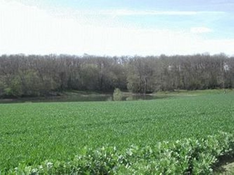 Gîte de Toupinerie Bas, Montignac-Toupinerie - photo 10
