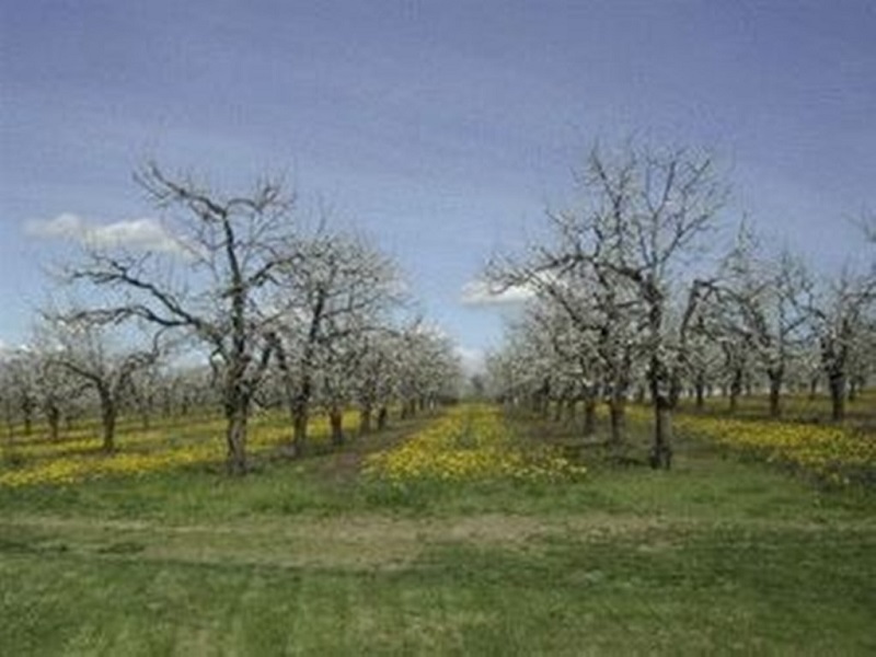 Gîte de Toupinerie Bas, Montignac-Toupinerie - photo 7